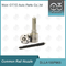 DLLA155P965 Denso Common Rail Nozzle Untuk Injector 095000-6700