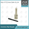 DLLA156P1367 Common Rail Nozzle Untuk Injector 0 445110185/283