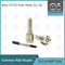 DLLA148P1524 Bosch Common Rail Nozzle Untuk Injector 0 445120217