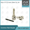DSLA140P1033 Bosch Common Rail Nozzle Untuk Injector 0 445120011/0986435506​