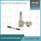 DLLA145P1794 Common Rail Nozzle Untuk Injektor 0445120157/0986435564