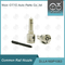 DLLA160P1063 Bosch Common Rail Nozzle Untuk Injektor 0445110122/080/131