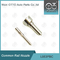 L053PBC Delphi Nozzle Untuk Common Rail Injector BEBJ1A00001