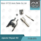 7135-573 Delphi Injector Repair Kit Untuk Injector 28229873