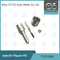 7135-580 Delphi Injector Repair Kit Untuk Injector 28342997/R00001D/28307309