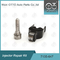 7135-647 Kit Perbaikan Injektor Delphi Untuk 28232248 Dengan Nozzle L120PBD