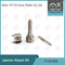 7135-656 Kit Perbaikan Injektor Delphi Untuk R00504Z Dengan Nozzle L135PBD