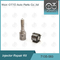 Kit Perbaikan Injektor Delphi 7135-583 untuk Nozel R00301D SSANGYONG D20DTF L341PRD