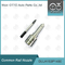 DLLA153P1450 Bosch Diesel Nozzle Untuk Injektor Common Rail 0445110232/233