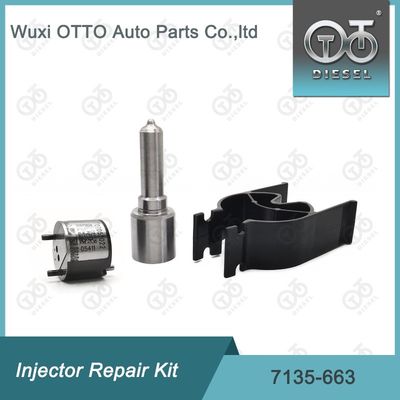 7135-663 Delphi Injector Repair Kit Kit Nozzle-Valve Kit Nozzle-CVA Kit