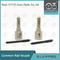 DLLA151P955 Denso Common Rail Nozzle Untuk Injector 095000-662 #