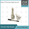 DLLA139P2229 Common Rail Nozzle Untuk Injektor 0445110418/520