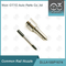 DLLA155P1674 Bosch Common Rail Nozzle Untuk Injector 0445110291/447