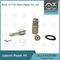 DLLA152P989 Denso Injector Repair Kit Untuk Injector 095000-714#