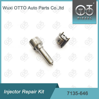Kit Nozzle-Valve 7135-646 Delphi Injector Repair Kit Untuk Injektor 28232251 / R03101D / R05102D