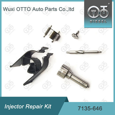 Kit Nozzle-Valve 7135-646 Delphi Injector Repair Kit Untuk Injektor 28232251 / R03101D / R05102D