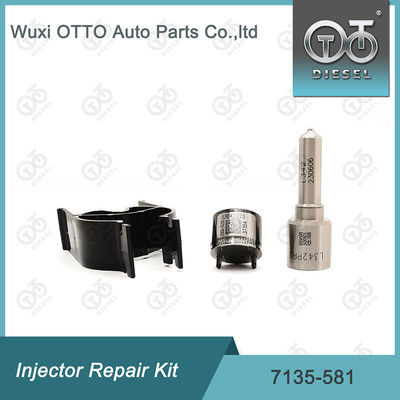 Kit Perbaikan Injektor  7135-581 untuk R00101D PSA FORD DW10C
