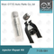 Kit Perbaikan Injektor Delphi 7135-581 Untuk R00101D PSA / FORD DW10C