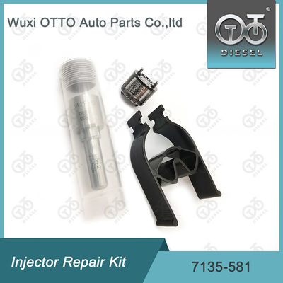 Kit Perbaikan Injektor  7135-581 untuk R00101D PSA FORD DW10C