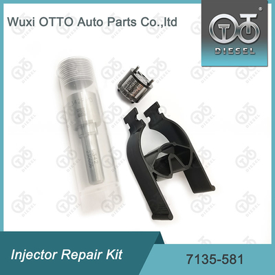 Nozzle-CVA Kit 7135-581 Delphi Injector Repair Kit Untuk R00101D PSA / FORD DW10C Nozzle-Valve Kit
