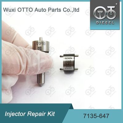 Kit Perbaikan Injektor  7135-647 untuk 28232248 dengan Nozel L120PBD