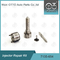 7135-654 Kit Perbaikan Injektor Delphi R00501Z Dengan Nozzle L456PRD