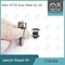 7135-654 Kit Perbaikan Injektor Delphi R00501Z Dengan Nozzle L456PRD