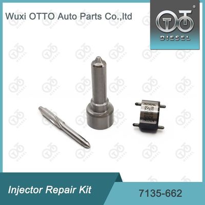 7135-662 Delphi Injector Repair Kit Untuk Injector R05001D Nozzle-Valve Kit Termasuk Nozzle L252PRD