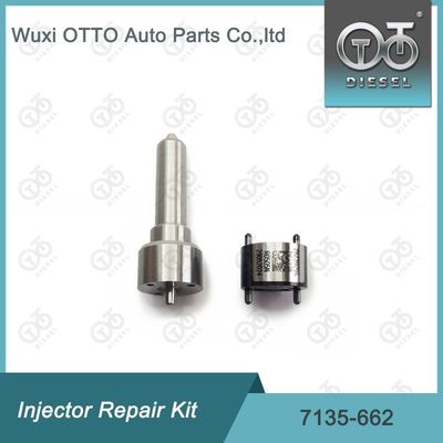 7135-662 Delphi Injector Repair Kit Untuk Injector R05001D Nozzle-Valve Kit Termasuk Nozzle L252PRD