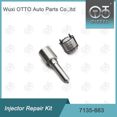 7135-663 Delphi Injector Repair Kit Kit Nozzle-Valve Kit Nozzle-CVA Kit