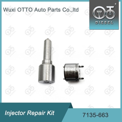 7135-663 Delphi Injector Repair Kit Kit Nozzle-Valve Kit Nozzle-CVA Kit