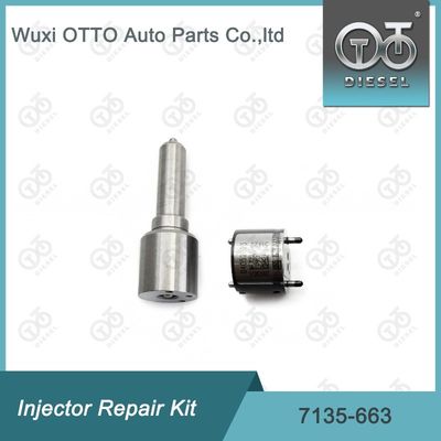 7135-663  Injector Repair Kit Kit Nozzle-Valve Kit Nozzle-CVA Kit