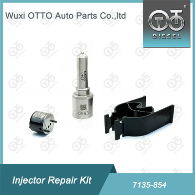 Delphi Injector Repair Kit 7135-854 untuk Nozzle E540 dan Valve 28602945