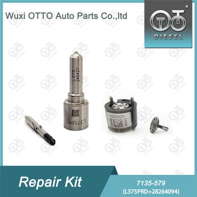 7135-579 Delphi Injector Repair Kit dengan L375PRD Nozzle dan 28264094 Control Valve untuk Mesin Diesel