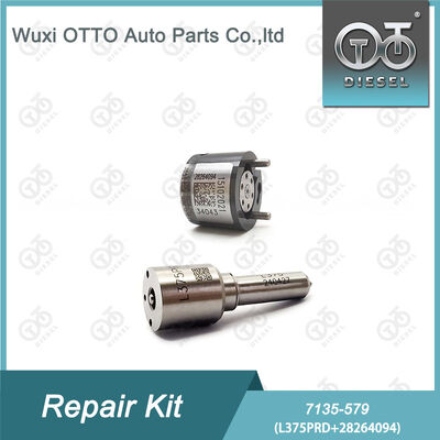 7135-579 Delphi Injector Repair Kit dengan L375PRD Nozzle dan 28264094 Control Valve untuk Mesin Diesel