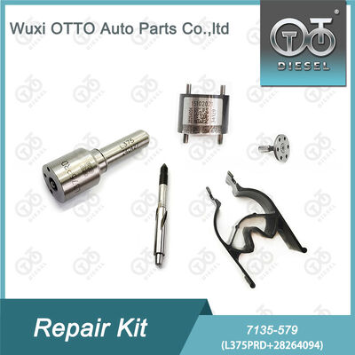 7135-579 Delphi Injector Repair Kit dengan L375PRD Nozzle dan 28264094 Control Valve untuk Mesin Diesel