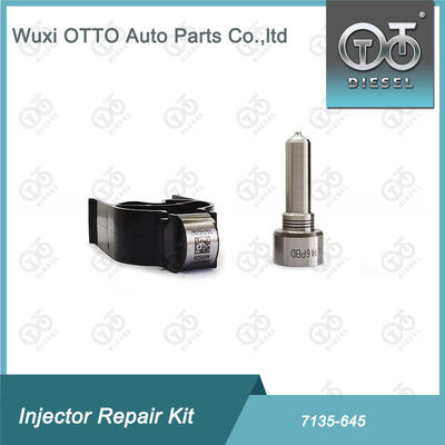Kit Nozzle-Valve Kit Nozzle-CVA Kit 7135 - 645 Common Rail Injector Repair Kit Untuk Injector R05201D