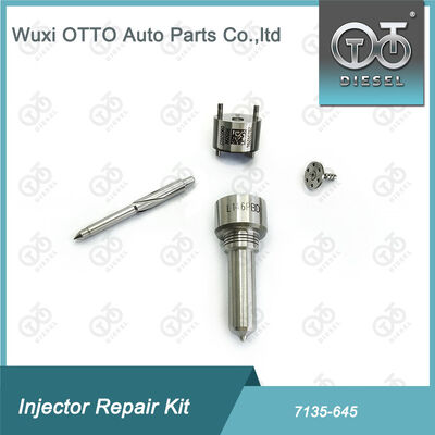 Kit Nozzle-Valve Kit Nozzle-CVA Kit 7135 - 645 Common Rail Injector Repair Kit Untuk Injector R05201D