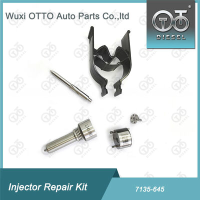 Kit Nozzle-Valve Kit Nozzle-CVA Kit 7135 - 645 Common Rail Injector Repair Kit Untuk Injector R05201D
