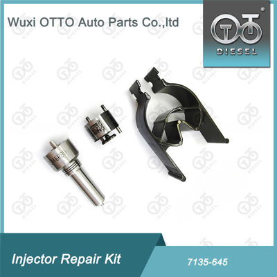 Kit Nozzle-Valve Kit Nozzle-CVA Kit 7135 - 645 Common Rail Injector Repair Kit Untuk Injector R05201D