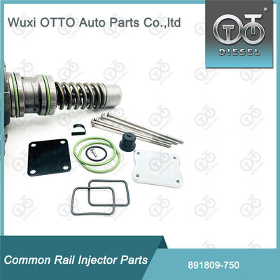 Kit Perbaikan Injektor Bahan Bakar 891809-750 untuk 750 Bosch Single-Plunger Pump