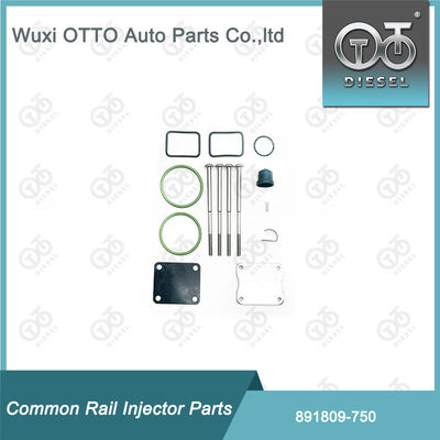 Kit Perbaikan Injektor Bahan Bakar 891809-750 untuk 750 Bosch Single-Plunger Pump