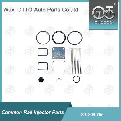 Kit Perbaikan Pompa Bahan Bakar Diesel 891809-755 untuk Bosch-Unit Pump 755