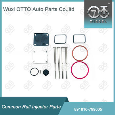 Kit Perbaikan Injektor Bahan Bakar 891810-799005 untuk Pompa 799 Single-Plunger