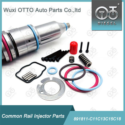 Kit Perbaikan Injektor Bahan Bakar 891811-C11c13c15c18 untuk Injektor Bahan Bakar Seri C11 / C13 / 15 / 18