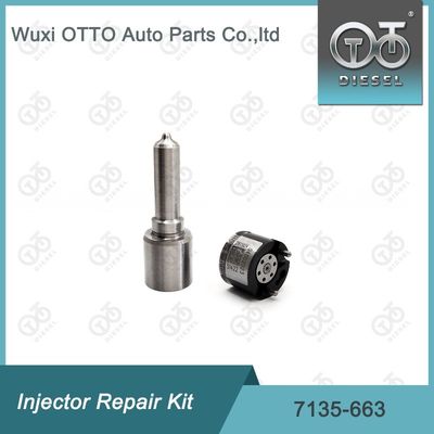 7135-663 Delphi Injector Repair Kit Kit Nozzle-Valve Kit Nozzle-CVA Kit