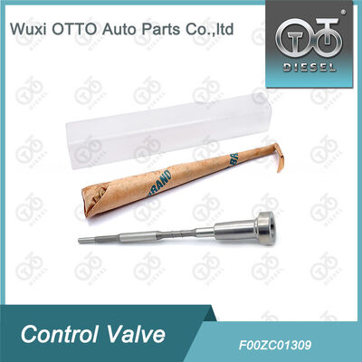 Set Katup Rel Umum Berkualitas Premium F00ZC01309 - Suku Cadang Mesin Diesel Tahan Lama