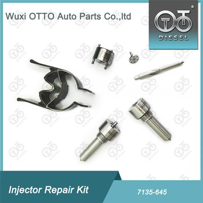 Kit Nozzle-Valve Kit Nozzle-CVA Kit 7135 - 645 Delphi Common Rail Injector Repair Kit Untuk Injektor R05201D